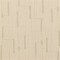 Kite Tails Al-Waha Beach