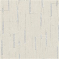 Kite Tails Let's Go Fly