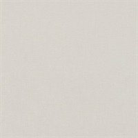 Kite Tails Texture Airfoil