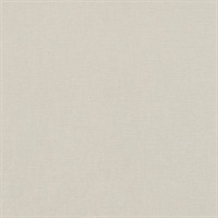 Kite Tails Texture Atmosphere