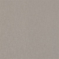 Kite Tails Texture Kitty Hawk