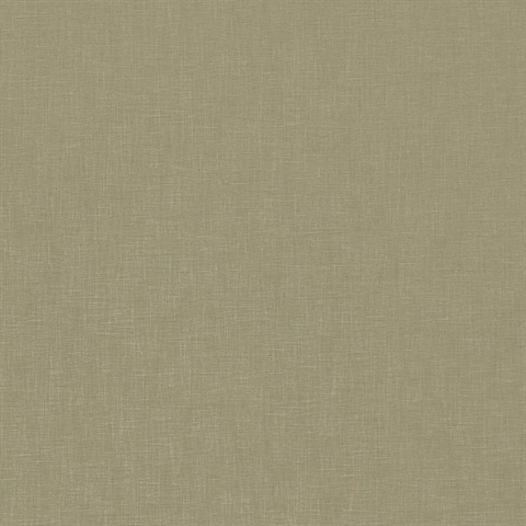 Kite Tails Texture Muna Island