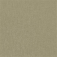 Kite Tails Texture Muna Island