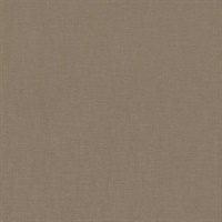 Kite Tails Texture Parasail