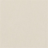 Kite Tails Texture Wind Art