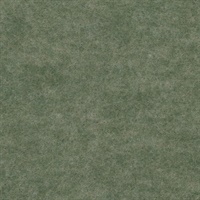 Koroseal Andante Hunter Textile Wallcovering