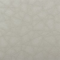 Labyrinth Rattlesnake