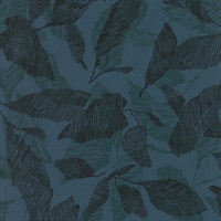 Laurel Leaf Indigo Vine