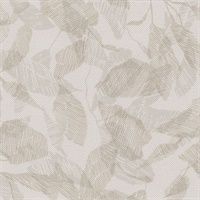 Laurel Leaf Pearwood