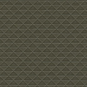 Le Muse The Inventor