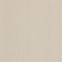 Legacy Pivot Buttercup