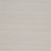 Legacy Silver Screen