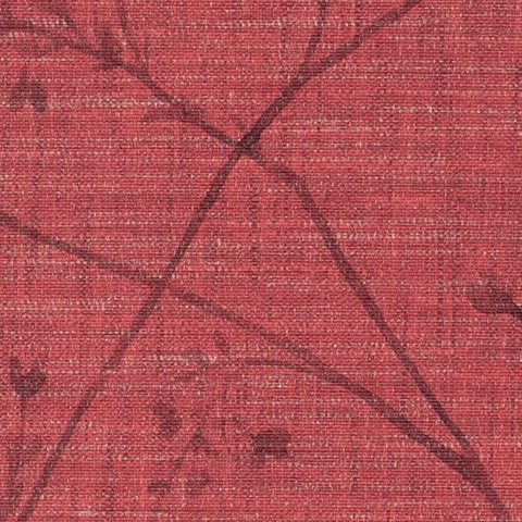 Li Ming Yang Fortune