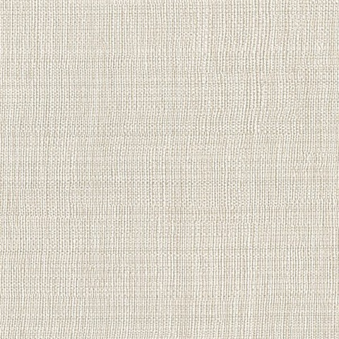 Linen Beige Texture