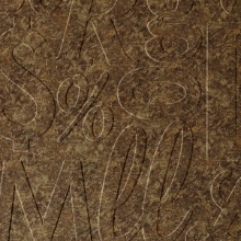 Lingual Dimension Wall Bronze Patina