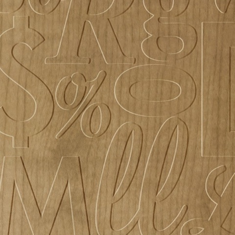 Lingual Dimension Wall Stained Ash