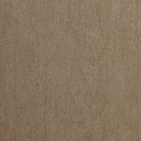 Lithic Down To Earth