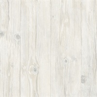 Wood Texture