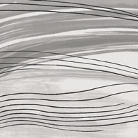 Loire Abstract Horizontal Wave Night Wind