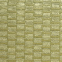 Luna Green Tamborine