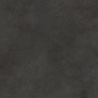 Made to Suede Carbon