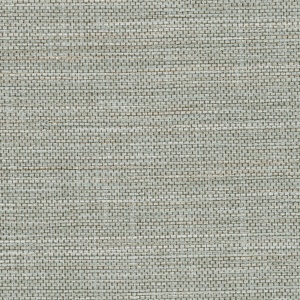 Maguey Calm Wall Protection