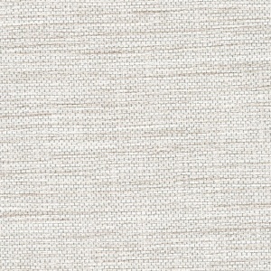 Maguey Mesh Wall Protection