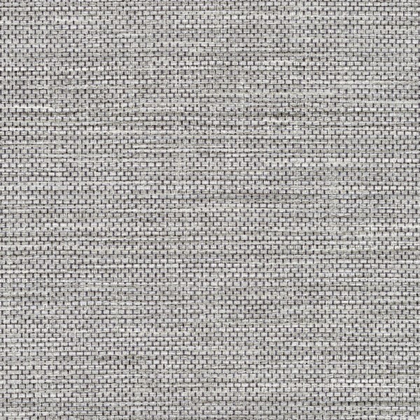 Maguey Tangle Wall Protection