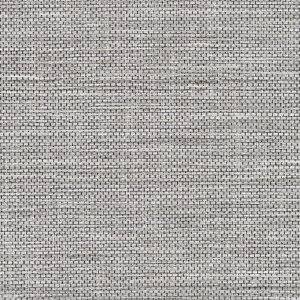 Maguey Tangle Wall Protection