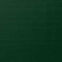 Mandarin Holi Festival