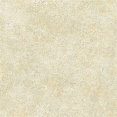 Marbled Gravel Texture 54 Aurous