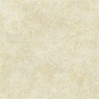 Marbled Gravel Texture 54 Aurous