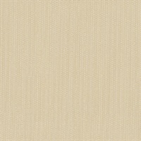 Marks The Spot Camping