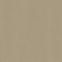 Marks The Spot Picnic