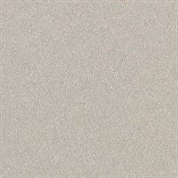 Matisse Texture Argent