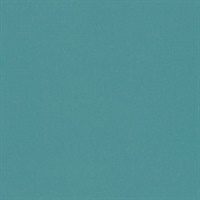 Matisse Texture Bleu Ciel