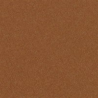 Matisse Texture Collioure