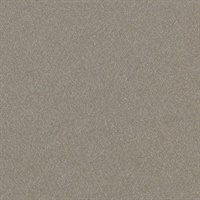 Matisse Texture Coussi