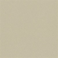 Matisse Texture Galerie