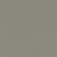 Matisse Texture Gris