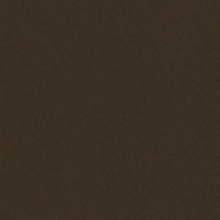 Matisse Texture Haut Monde