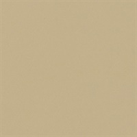 Matisse Texture Ivoire