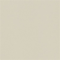 Matisse Texture Linen Canvas