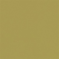 Matisse Texture Marguerite