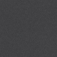 Matisse Texture Noir