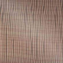 Meadows Vertical Dimension Wall Light Oak