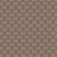 Metal Weave Chanbray