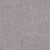 Metalique Winter Memory