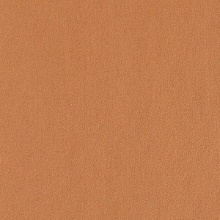 Metallic Metallic 17