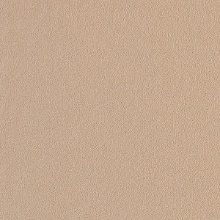 Metallic Metallic 19